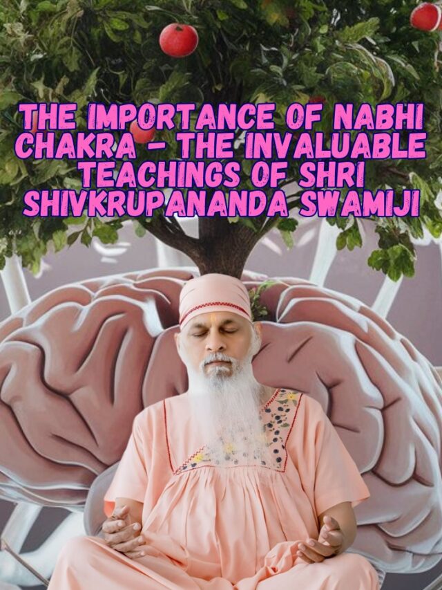 Nabhi Chakra / Solar Plexus Chakra – The Importance of Inner Progress – The Invaluable Teachings of Shri Shivkrupananda Swamiji